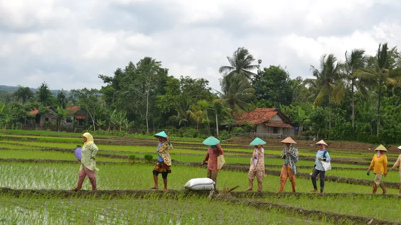 Aktivitas di Desa Jaja Baroh 2
